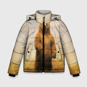 Зимняя куртка для мальчиков 3D с принтом Медведь в поле в Белгороде, ткань верха — 100% полиэстер; подклад — 100% полиэстер, утеплитель — 100% полиэстер | длина ниже бедра, удлиненная спинка, воротник стойка и отстегивающийся капюшон. Есть боковые карманы с листочкой на кнопках, утяжки по низу изделия и внутренний карман на молнии. 

Предусмотрены светоотражающий принт на спинке, радужный светоотражающий элемент на пуллере молнии и на резинке для утяжки | bear | медведь | одуванчики | русский медведь в чистом русском поле мечта патриотаполе | сено