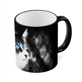 Кружка 3D с принтом Кот в Белгороде, керамика | ёмкость 330 мл | Тематика изображения на принте: взгляд | глаза | голубые | кот