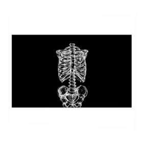 Бумага для упаковки 3D с принтом Скелет в Белгороде, пластик и полированная сталь | круглая форма, металлическое крепление в виде кольца | скелет