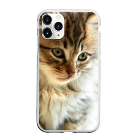 Чехол для iPhone 11 Pro матовый с принтом Кот в Белгороде, Силикон |  | Тематика изображения на принте: домашняя | животное | кот | котэ | кошка
