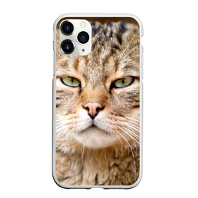 Чехол для iPhone 11 Pro матовый с принтом Кот в Белгороде, Силикон |  | Тематика изображения на принте: дикий | животное | кот | котэ | кошка