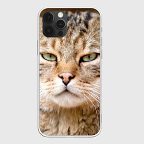 Чехол для iPhone 12 Pro Max с принтом Кот в Белгороде, Силикон |  | Тематика изображения на принте: дикий | животное | кот | котэ | кошка