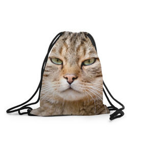 Рюкзак-мешок 3D с принтом Кот в Белгороде, 100% полиэстер | плотность ткани — 200 г/м2, размер — 35 х 45 см; лямки — толстые шнурки, застежка на шнуровке, без карманов и подкладки | Тематика изображения на принте: дикий | животное | кот | котэ | кошка
