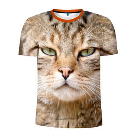 Мужская футболка 3D спортивная с принтом Кот в Белгороде, 100% полиэстер с улучшенными характеристиками | приталенный силуэт, круглая горловина, широкие плечи, сужается к линии бедра | дикий | животное | кот | котэ | кошка