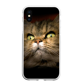 Чехол для iPhone XS Max матовый с принтом Кот в Белгороде, Силикон | Область печати: задняя сторона чехла, без боковых панелей | Тематика изображения на принте: домашняя | животное | кот | котэ | кошка