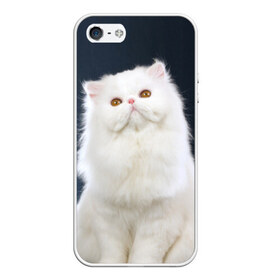 Чехол силиконовый для Телефон Apple iPhone 5/5S с принтом Кот в Белгороде, Силикон | Область печати: задняя сторона чехла, без боковых панелей | Тематика изображения на принте: домашняя | животное | кот | котэ | кошка