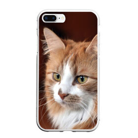 Чехол для iPhone 7Plus/8 Plus матовый с принтом Кот в Белгороде, Силикон | Область печати: задняя сторона чехла, без боковых панелей | домашняя | животное | кот | котэ | кошка