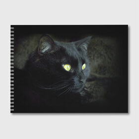 Альбом для рисования с принтом Черный в Белгороде, 100% бумага
 | матовая бумага, плотность 200 мг. | домашняя | животное | кот | котэ | кошка | черный