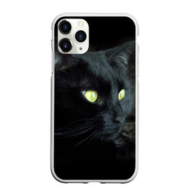 Чехол для iPhone 11 Pro матовый с принтом Черный в Белгороде, Силикон |  | Тематика изображения на принте: домашняя | животное | кот | котэ | кошка | черный