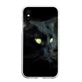 Чехол для iPhone XS Max матовый с принтом Черный в Белгороде, Силикон | Область печати: задняя сторона чехла, без боковых панелей | Тематика изображения на принте: домашняя | животное | кот | котэ | кошка | черный