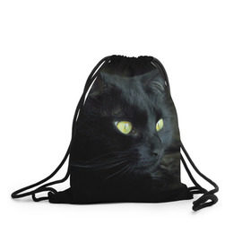 Рюкзак-мешок 3D с принтом Черный в Белгороде, 100% полиэстер | плотность ткани — 200 г/м2, размер — 35 х 45 см; лямки — толстые шнурки, застежка на шнуровке, без карманов и подкладки | домашняя | животное | кот | котэ | кошка | черный