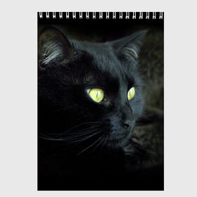 Скетчбук с принтом Черный в Белгороде, 100% бумага
 | 48 листов, плотность листов — 100 г/м2, плотность картонной обложки — 250 г/м2. Листы скреплены сверху удобной пружинной спиралью | домашняя | животное | кот | котэ | кошка | черный
