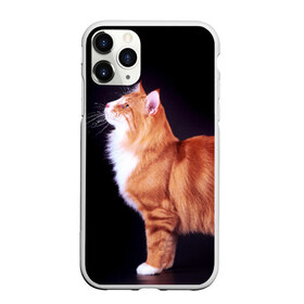 Чехол для iPhone 11 Pro матовый с принтом Рыжий кот в Белгороде, Силикон |  | домашняя | животное | кот | котэ | кошка | рыжая