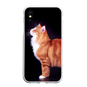 Чехол для iPhone XS Max матовый с принтом Рыжий кот в Белгороде, Силикон | Область печати: задняя сторона чехла, без боковых панелей | Тематика изображения на принте: домашняя | животное | кот | котэ | кошка | рыжая
