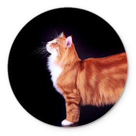 Коврик круглый с принтом Рыжий кот в Белгороде, резина и полиэстер | круглая форма, изображение наносится на всю лицевую часть | Тематика изображения на принте: домашняя | животное | кот | котэ | кошка | рыжая