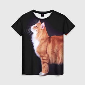Женская футболка 3D с принтом Рыжий кот в Белгороде, 100% полиэфир ( синтетическое хлопкоподобное полотно) | прямой крой, круглый вырез горловины, длина до линии бедер | домашняя | животное | кот | котэ | кошка | рыжая