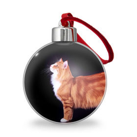 Ёлочный шар с принтом Рыжий кот в Белгороде, Пластик | Диаметр: 77 мм | Тематика изображения на принте: домашняя | животное | кот | котэ | кошка | рыжая