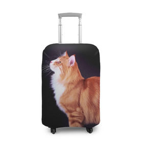 Чехол для чемодана 3D с принтом Рыжий кот в Белгороде, 86% полиэфир, 14% спандекс | двустороннее нанесение принта, прорези для ручек и колес | домашняя | животное | кот | котэ | кошка | рыжая