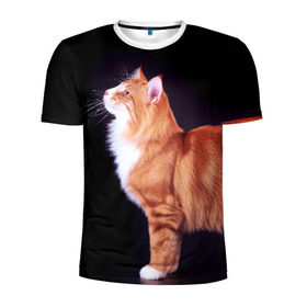 Мужская футболка 3D спортивная с принтом Рыжий кот в Белгороде, 100% полиэстер с улучшенными характеристиками | приталенный силуэт, круглая горловина, широкие плечи, сужается к линии бедра | домашняя | животное | кот | котэ | кошка | рыжая