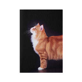 Обложка для паспорта матовая кожа с принтом Рыжий кот в Белгороде, натуральная матовая кожа | размер 19,3 х 13,7 см; прозрачные пластиковые крепления | домашняя | животное | кот | котэ | кошка | рыжая