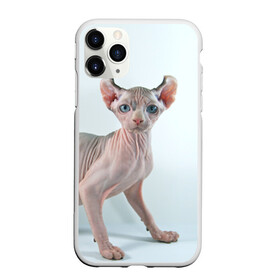 Чехол для iPhone 11 Pro матовый с принтом Сфинкс в Белгороде, Силикон |  | Тематика изображения на принте: домашняя | животное | кот | котэ | кошка | сфинкс