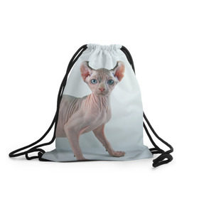 Рюкзак-мешок 3D с принтом Сфинкс в Белгороде, 100% полиэстер | плотность ткани — 200 г/м2, размер — 35 х 45 см; лямки — толстые шнурки, застежка на шнуровке, без карманов и подкладки | Тематика изображения на принте: домашняя | животное | кот | котэ | кошка | сфинкс