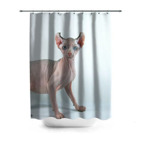 Штора 3D для ванной с принтом Сфинкс в Белгороде, 100% полиэстер | плотность материала — 100 г/м2. Стандартный размер — 146 см х 180 см. По верхнему краю — пластиковые люверсы для креплений. В комплекте 10 пластиковых колец | домашняя | животное | кот | котэ | кошка | сфинкс