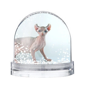 Снежный шар с принтом Сфинкс в Белгороде, Пластик | Изображение внутри шара печатается на глянцевой фотобумаге с двух сторон | Тематика изображения на принте: домашняя | животное | кот | котэ | кошка | сфинкс