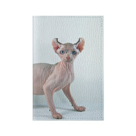 Обложка для паспорта матовая кожа с принтом Сфинкс в Белгороде, натуральная матовая кожа | размер 19,3 х 13,7 см; прозрачные пластиковые крепления | Тематика изображения на принте: домашняя | животное | кот | котэ | кошка | сфинкс