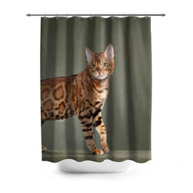 Штора 3D для ванной с принтом Бенгальский кот в Белгороде, 100% полиэстер | плотность материала — 100 г/м2. Стандартный размер — 146 см х 180 см. По верхнему краю — пластиковые люверсы для креплений. В комплекте 10 пластиковых колец | бенгальский | домашняя | животное | кот | котэ | кошка