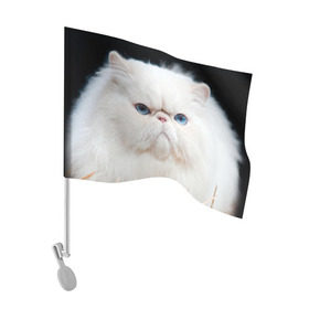 Флаг для автомобиля с принтом Персидский кот в Белгороде, 100% полиэстер | Размер: 30*21 см | домашняя | животное | кот | котэ | кошка | персидский