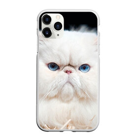Чехол для iPhone 11 Pro матовый с принтом Персидский кот в Белгороде, Силикон |  | Тематика изображения на принте: домашняя | животное | кот | котэ | кошка | персидский