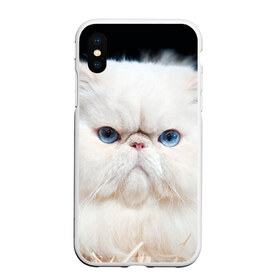 Чехол для iPhone XS Max матовый с принтом Персидский кот в Белгороде, Силикон | Область печати: задняя сторона чехла, без боковых панелей | Тематика изображения на принте: домашняя | животное | кот | котэ | кошка | персидский