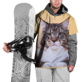 Накидка на куртку 3D с принтом Байкун в Белгороде, 100% полиэстер |  | Тематика изображения на принте: байкун | домашняя | животное | кот | котэ | кошка