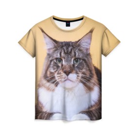 Женская футболка 3D с принтом Байкун в Белгороде, 100% полиэфир ( синтетическое хлопкоподобное полотно) | прямой крой, круглый вырез горловины, длина до линии бедер | байкун | домашняя | животное | кот | котэ | кошка