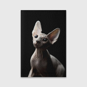 Обложка для паспорта матовая кожа с принтом Сфинкс в Белгороде, натуральная матовая кожа | размер 19,3 х 13,7 см; прозрачные пластиковые крепления | Тематика изображения на принте: домашняя | животное | кот | котэ | кошка | сфинкс