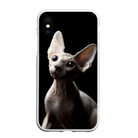 Чехол для iPhone XS Max матовый с принтом Сфинкс в Белгороде, Силикон | Область печати: задняя сторона чехла, без боковых панелей | Тематика изображения на принте: домашняя | животное | кот | котэ | кошка | сфинкс