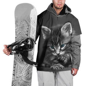 Накидка на куртку 3D с принтом Котенок в Белгороде, 100% полиэстер |  | Тематика изображения на принте: домашняя | животное | кот | котэ | кошка