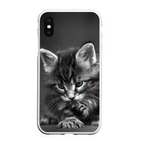 Чехол для iPhone XS Max матовый с принтом Котенок в Белгороде, Силикон | Область печати: задняя сторона чехла, без боковых панелей | Тематика изображения на принте: домашняя | животное | кот | котэ | кошка