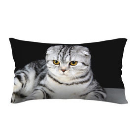 Подушка 3D антистресс с принтом Кот в Белгороде, наволочка — 100% полиэстер, наполнитель — вспененный полистирол | состоит из подушки и наволочки на молнии | домашняя | животное | кот | котэ | кошка