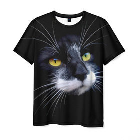 Мужская футболка 3D с принтом Кот в Белгороде, 100% полиэфир | прямой крой, круглый вырез горловины, длина до линии бедер | Тематика изображения на принте: домашняя | животное | кот | котэ | кошка