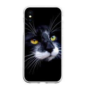 Чехол для iPhone XS Max матовый с принтом Кот в Белгороде, Силикон | Область печати: задняя сторона чехла, без боковых панелей | Тематика изображения на принте: домашняя | животное | кот | котэ | кошка