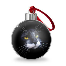 Ёлочный шар с принтом Кот в Белгороде, Пластик | Диаметр: 77 мм | домашняя | животное | кот | котэ | кошка