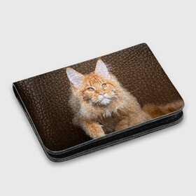 Картхолдер с принтом с принтом Кот в Белгороде, натуральная матовая кожа | размер 7,3 х 10 см; кардхолдер имеет 4 кармана для карт; | домашняя | животное | кот | котэ | кошка