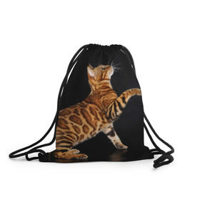 Рюкзак-мешок 3D с принтом Бенгальская кошка в Белгороде, 100% полиэстер | плотность ткани — 200 г/м2, размер — 35 х 45 см; лямки — толстые шнурки, застежка на шнуровке, без карманов и подкладки | бенгальская | домашняя | животное | кот | котэ | кошка