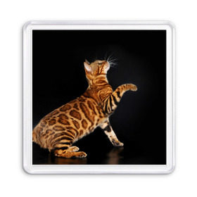 Магнит 55*55 с принтом Бенгальская кошка в Белгороде, Пластик | Размер: 65*65 мм; Размер печати: 55*55 мм | Тематика изображения на принте: бенгальская | домашняя | животное | кот | котэ | кошка