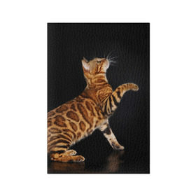 Обложка для паспорта матовая кожа с принтом Бенгальская кошка в Белгороде, натуральная матовая кожа | размер 19,3 х 13,7 см; прозрачные пластиковые крепления | Тематика изображения на принте: бенгальская | домашняя | животное | кот | котэ | кошка