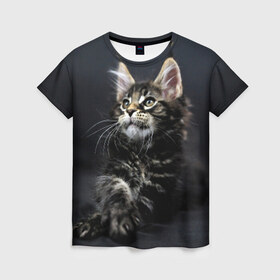 Женская футболка 3D с принтом Кот в Белгороде, 100% полиэфир ( синтетическое хлопкоподобное полотно) | прямой крой, круглый вырез горловины, длина до линии бедер | домашняя | животное | кот | котэ | кошка