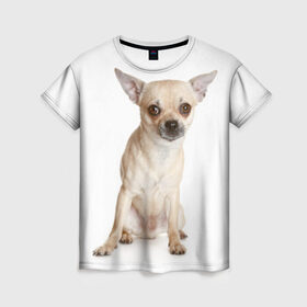 Женская футболка 3D с принтом Чихуахуа в Белгороде, 100% полиэфир ( синтетическое хлопкоподобное полотно) | прямой крой, круглый вырез горловины, длина до линии бедер | животное | порода | собака | чихуахуа