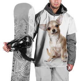 Накидка на куртку 3D с принтом Чихуахуа в Белгороде, 100% полиэстер |  | Тематика изображения на принте: животное | порода | собака | чихуахуа